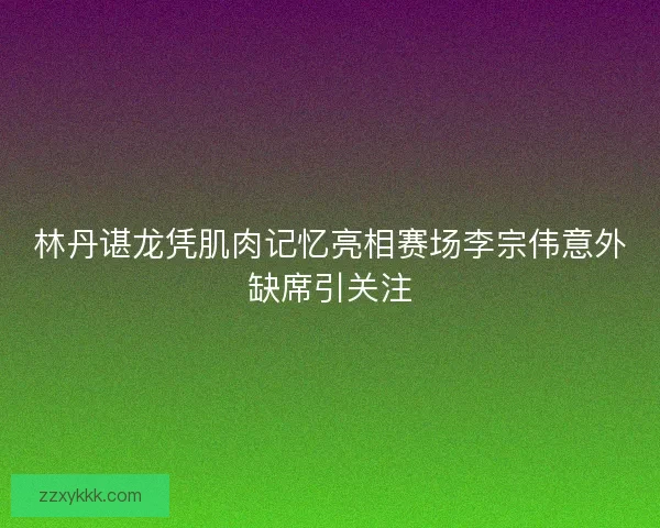 林丹谌龙凭肌肉记忆亮相赛场李宗伟意外缺席引关注